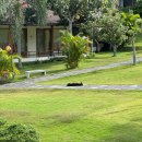 중부골프 앤 헬스 | 푸꾸옥 가성비 숙소 추천 '까미아 리조트 &amp; 스파' 베트남 여행 오션뷰 마사지 노을뷰 맛집