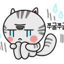 청주동물약국 이미지