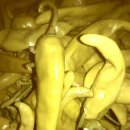 동례농장 이미지