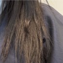유니자르 헤어팩 단백질트리트먼트로 극손상모 케어한 리얼 후기