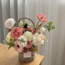 마이미플레르 이미지