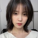 매직터치오송점 | 거지존 극복 치트키 🤍 중단발 페이퍼컷과 볼륨매직 조합으로 완성하는 시크한 가벼움ㅣ세종미용실...