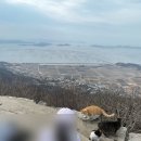 하늘땅바다친구들어린이집 | 강화도 마니산] 초등생들과 함께 주말 등산 나들이, 참성단 에 아이들과 오르기