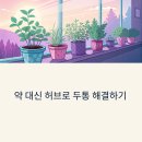 두통 완화에 효과적인 허브 5가지, 집에서 직접 키우는 힐링 가이드