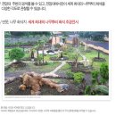 제주화석박물관 이미지