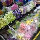 사계절꽃집 - 군산시 대야시장로 3 | 사계절꽃집