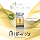 하빗 이미지