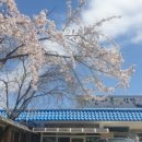 가야산오리식당 이미지
