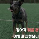 올바른참견 이미지