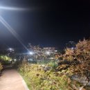보평근린공원 이미지