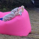 홍천강아침의향기펜션 이미지