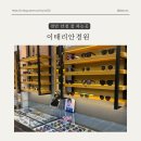 이태리안경원 이미지