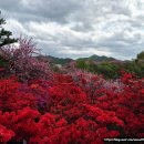 꽃동산어린이공원-2 | 전주 완산칠봉꽃동산 겹벚꽃 다녀오다