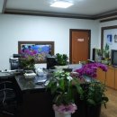 중앙대부동산중개사사무소 이미지