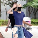 로제 이미지