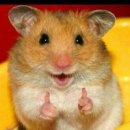 설레임 | 외모승인제 설레임 파티 다녀온 후기 뽕뽕