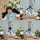 양곡어린이집 | 주신 백일떡•백일상 후기🤍&lt;데이설기&gt; 3종세트떡_김포...떡,김포장기동떡,김포운양동떡,김포양곡떡•••