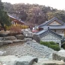 솔향펜션 네이버블로그