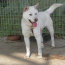 백화농장 이미지