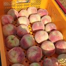 홍현농장 이미지