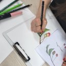 색연필 식물 세밀화 이미지