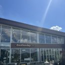 어나더데이(Anotherday) | [내돈내산] 구미 애견동반가능 카페 어나더데이, 고아 대형카페 방문 솔직후기