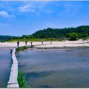 영주 무섬마을 이미지