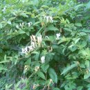 (주)인동 이미지