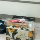 공항길귤창고 | 제주 감귤의 진짜 맛, 공항길 귤창고에서 주문한 고당도 노지감귤 후기