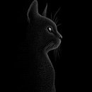 고양이의 하루 이미지