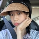 코네이처