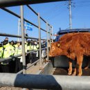 상경축산 이미지