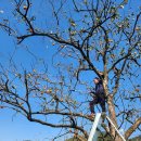 대봉농장 이미지