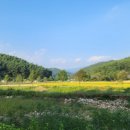 닭실민박 이미지