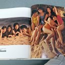 coco(코코) 이미지