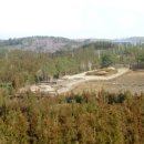 하원동-2 이미지