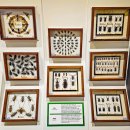 함평 엑스포공원 전경(전남 함평군) 이미지