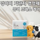 퓨어펫(pure pet) | 강아지 기관지 영양제 추천, 프로젝트21 퓨어 브레스케어 솔직 리뷰