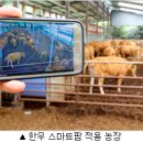 쑥쑥한우농장 이미지