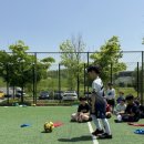 용인대 베스트 태권도장 이미지