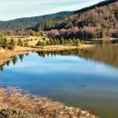 세상목장 이미지