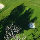 니어컨트리 이미지