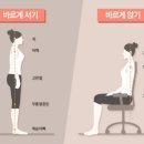 당당한 체형 연구소 네이버블로그
