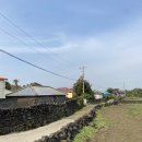 구좌농협주유소 이미지