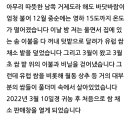 농부박스 네이버블로그