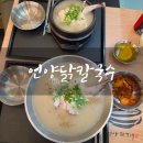 용마로-1 | 마산양덕동맛집 닭칼국수 추천 | 언양닭칼국수 양덕점 후기