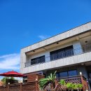 송이마당1198 이미지