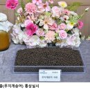 ㈜무지개개발