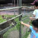 아란농장 이미지