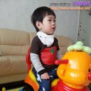 도도래빗 이미지